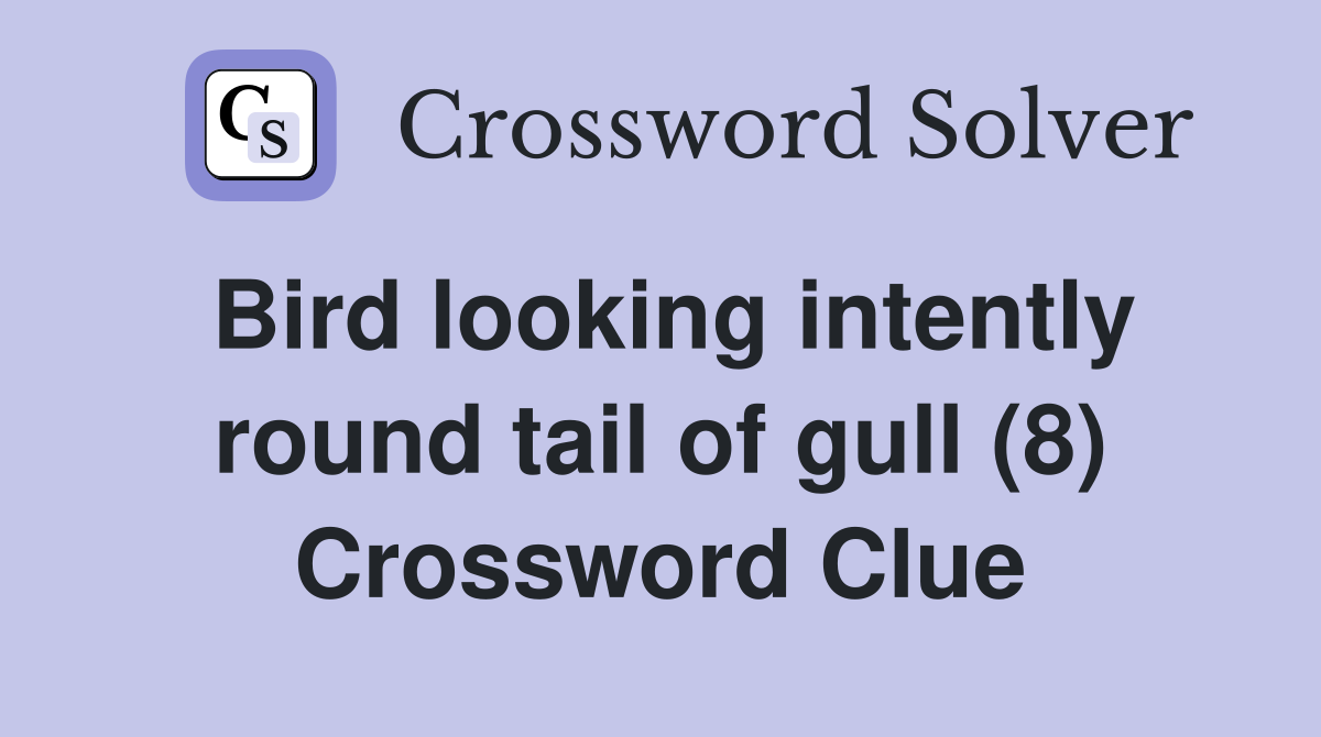 Bird looking intently round tail of gull (8) - Crossword Clue Answers